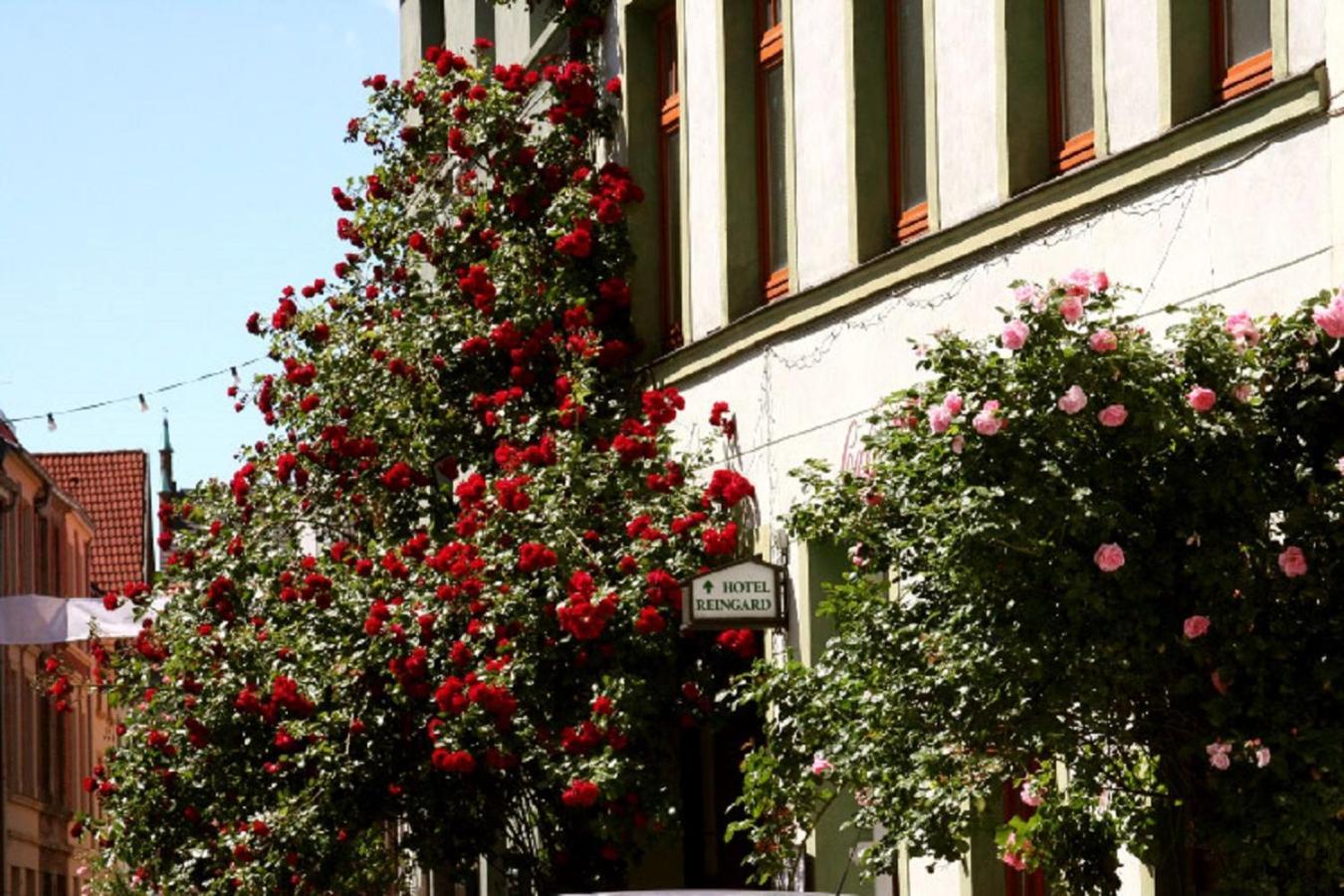 Hotel Reingard Wißmar Exterior foto